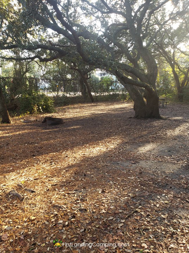 First Landing Camping Site 10 A