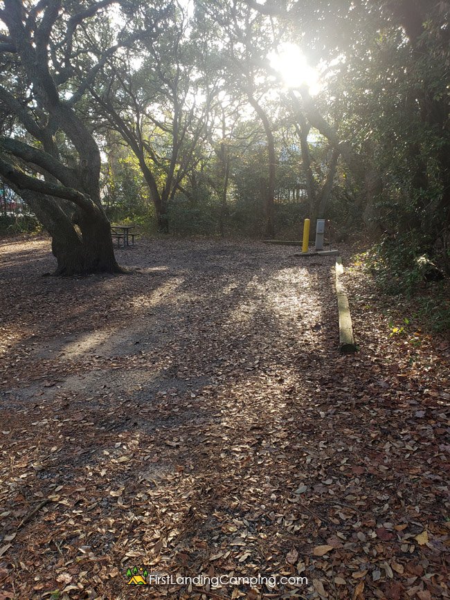 First Landing Camping Site 10