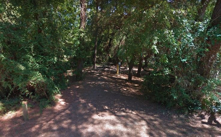 First Landing Camping Site 102