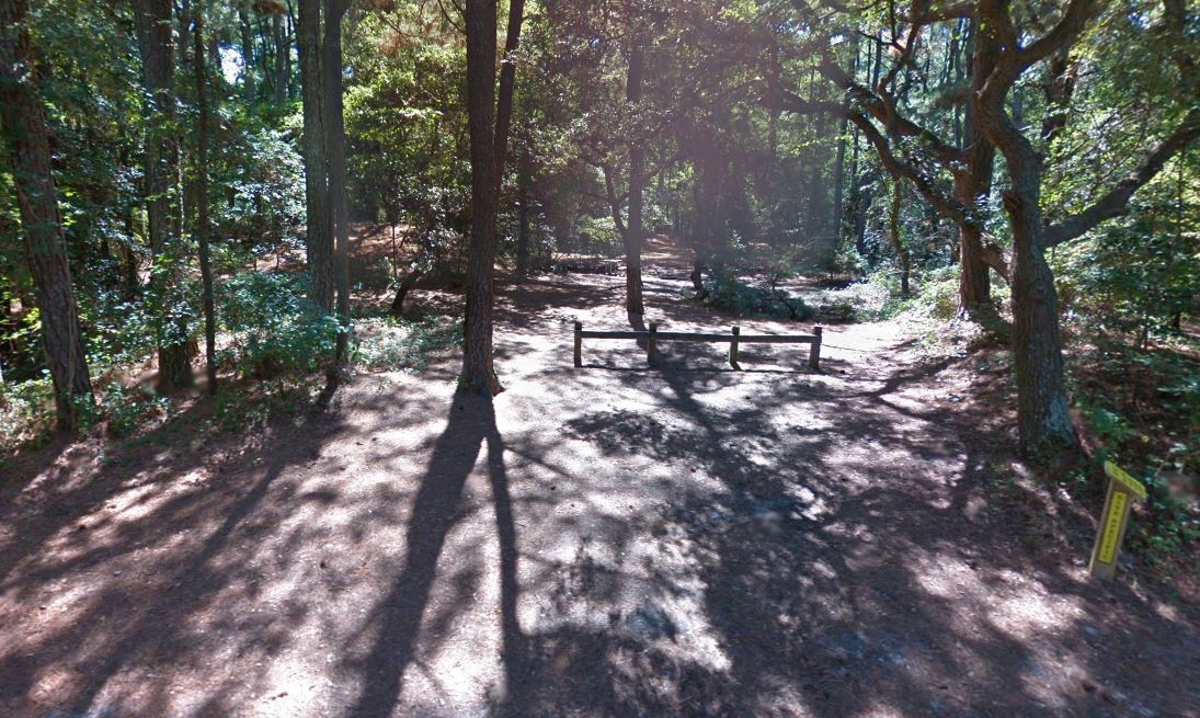 First Landing Camping Site 103