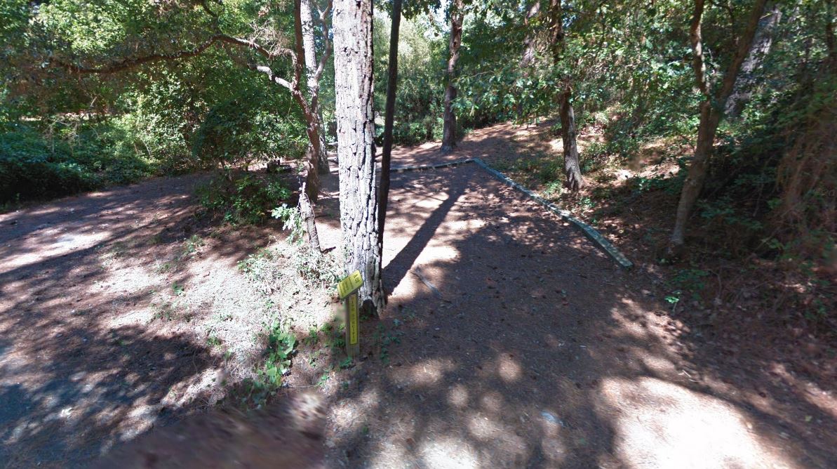 First Landing Camping Site 104