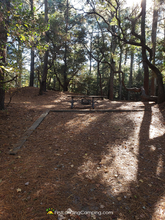First Landing Camping Site 112