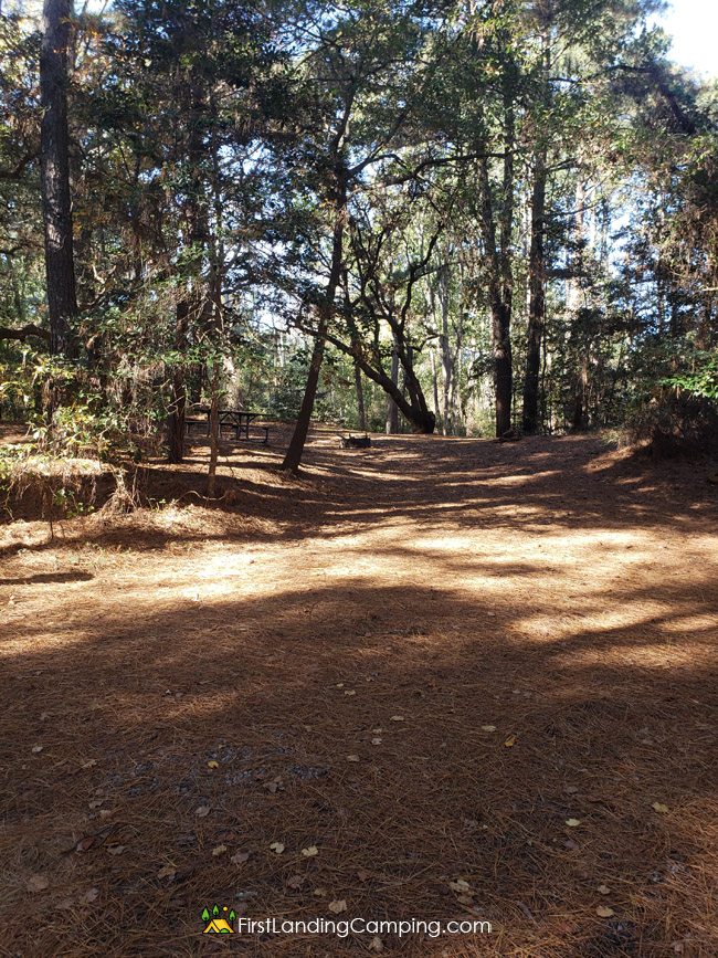 First Landing Camping Site 114