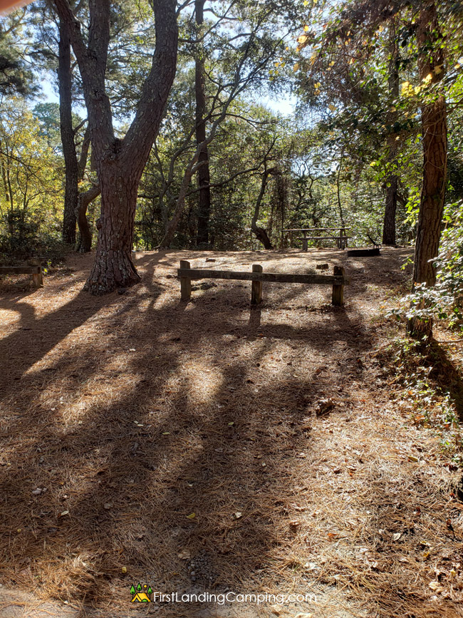 First Landing Camping Site 116
