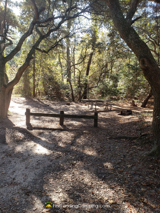 First Landing Camping Site 117