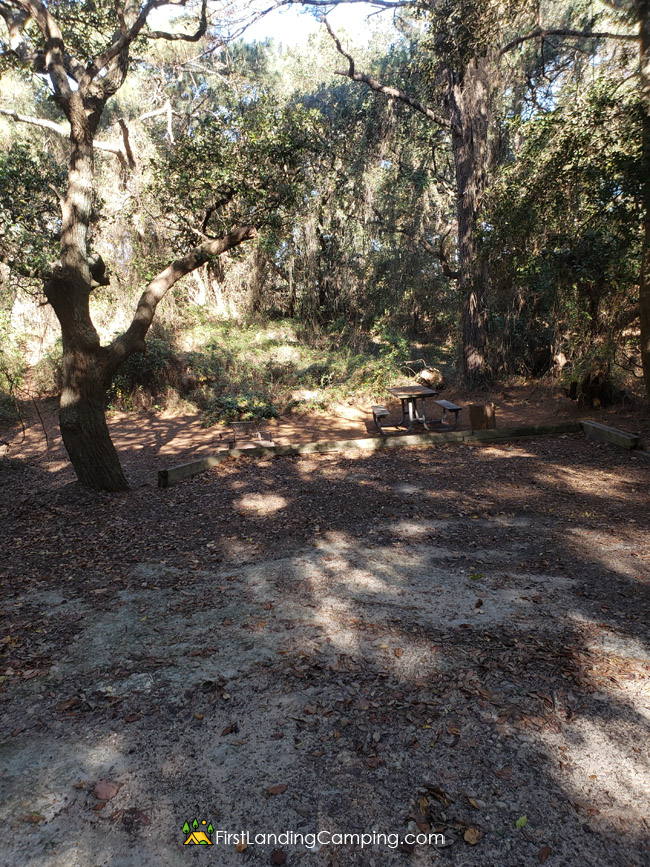 First Landing Camping Site 118