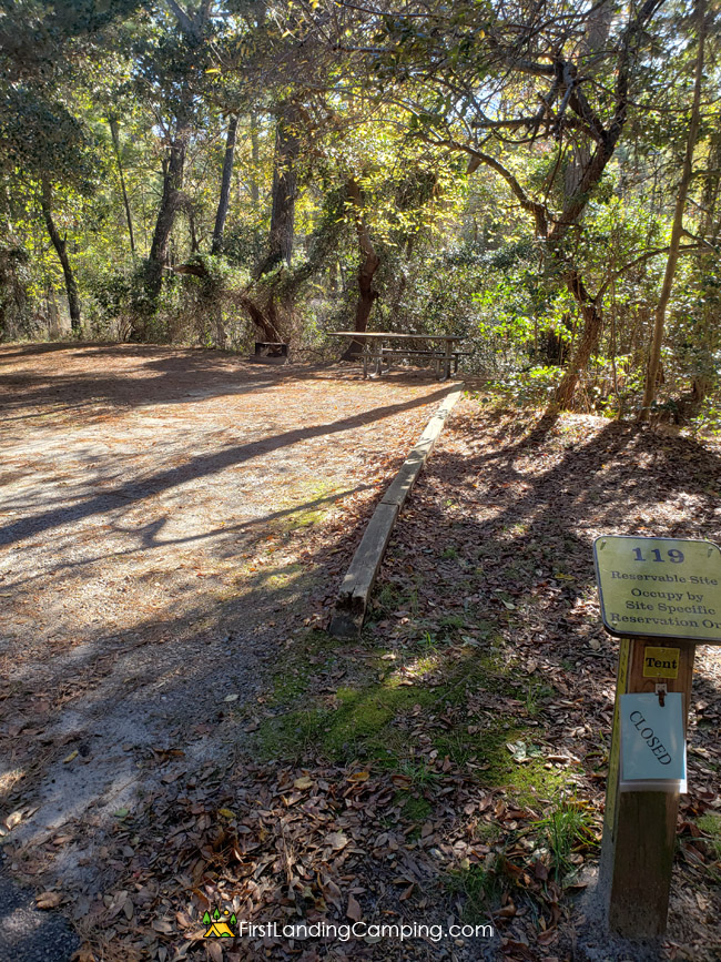 First Landing Camping Site 119
