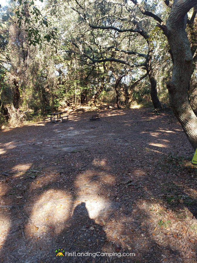 First Landing Camping Site 121