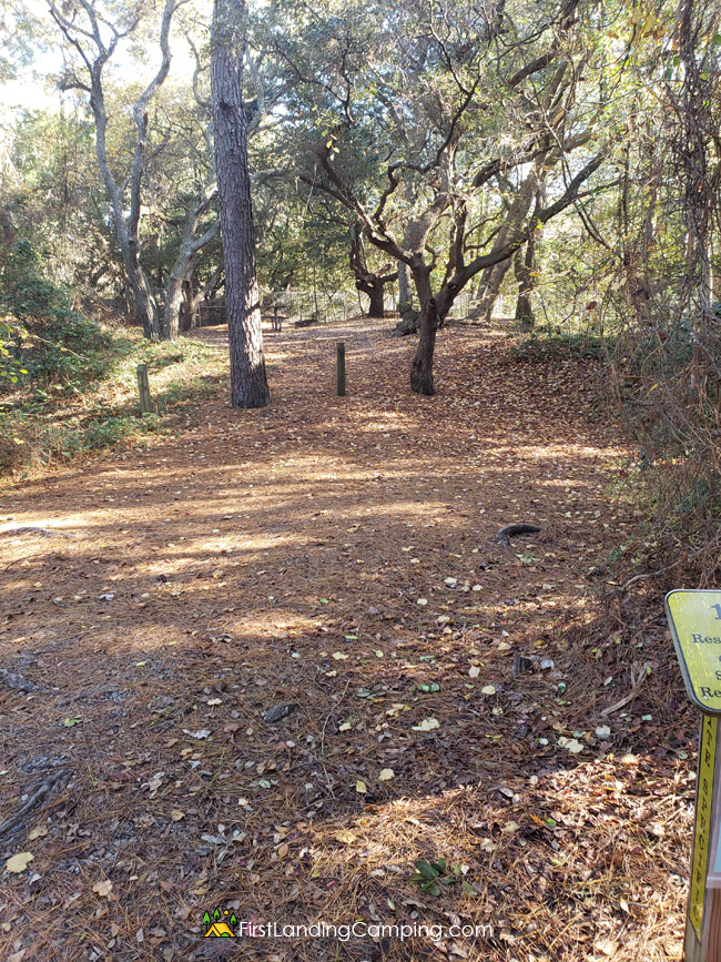 First Landing Camping Site 122