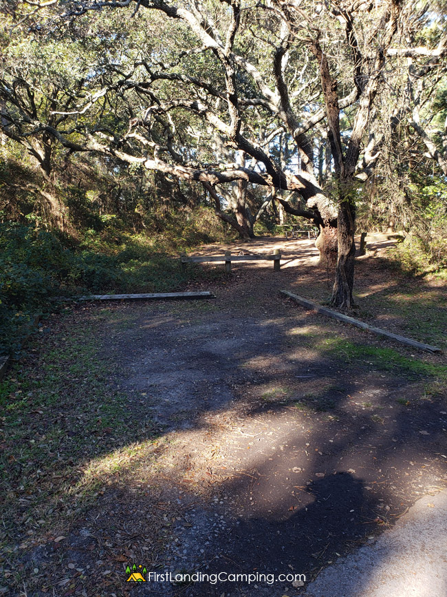 First Landing Camping Site 123
