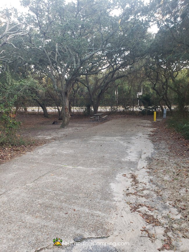 First Landing Camping Site 13