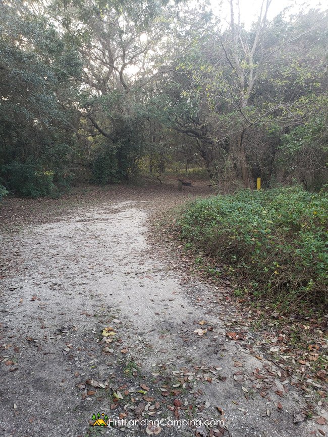 First Landing Camping Site 14