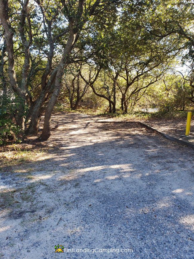 First Landing Camping Site 151