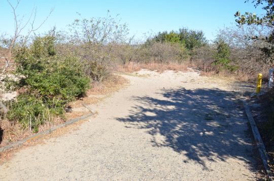 First Landing Camping Site 158