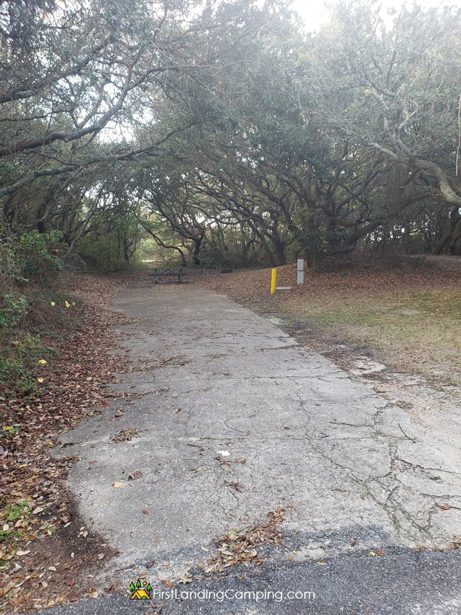 First Landing Camping Site 22