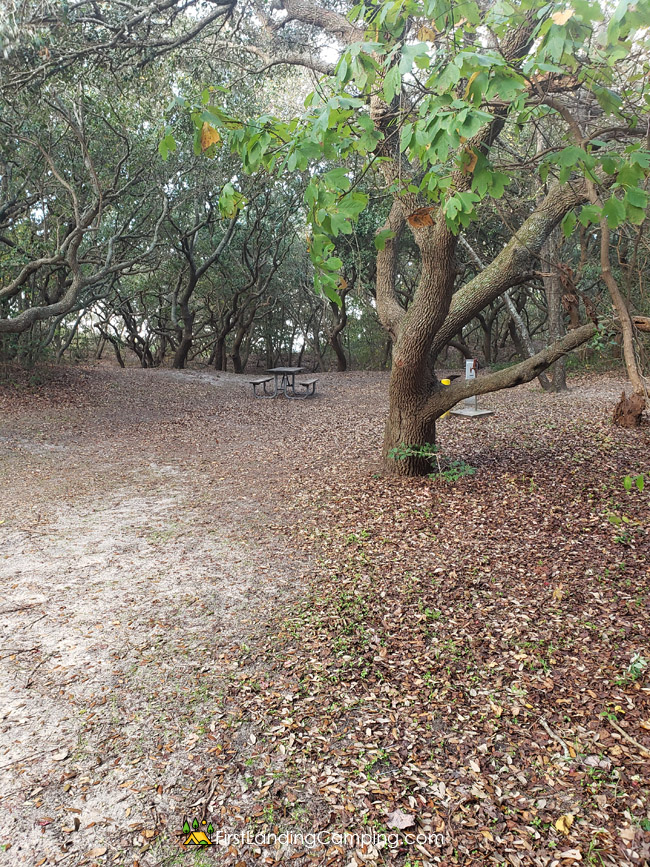 First Landing Camping Site 24