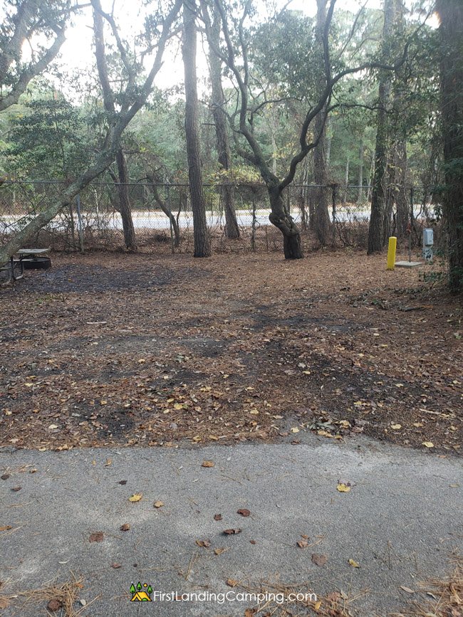 First Landing Camping Site 25