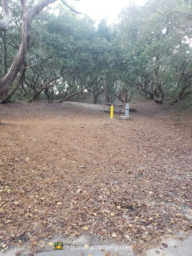 First Landing Camping Site 26