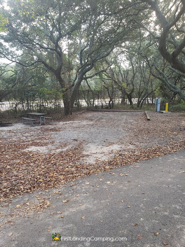 First Landing Camping Site 29