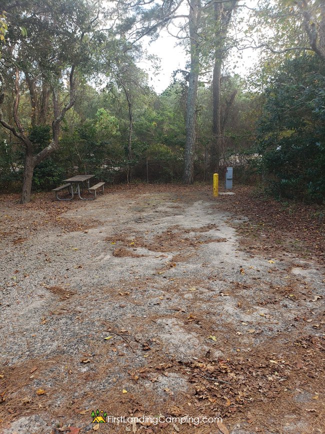 First Landing Camping Site 31