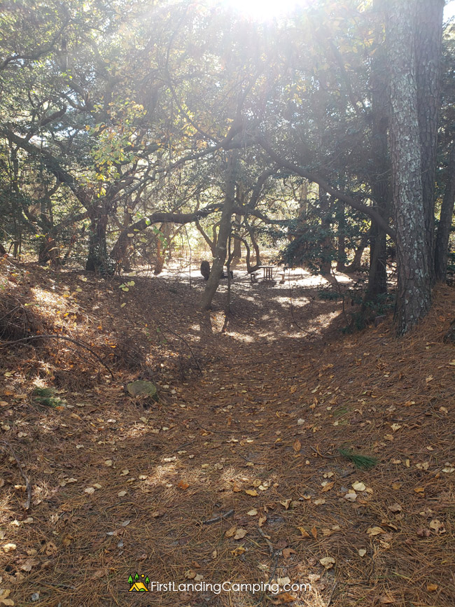 First Landing Camping Site 70 A