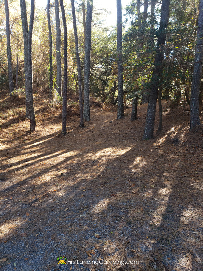 First Landing Camping Site 70
