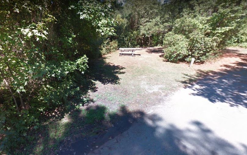 First Landing Camping Site 80