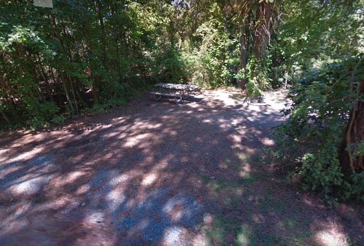 First Landing Camping Site 81