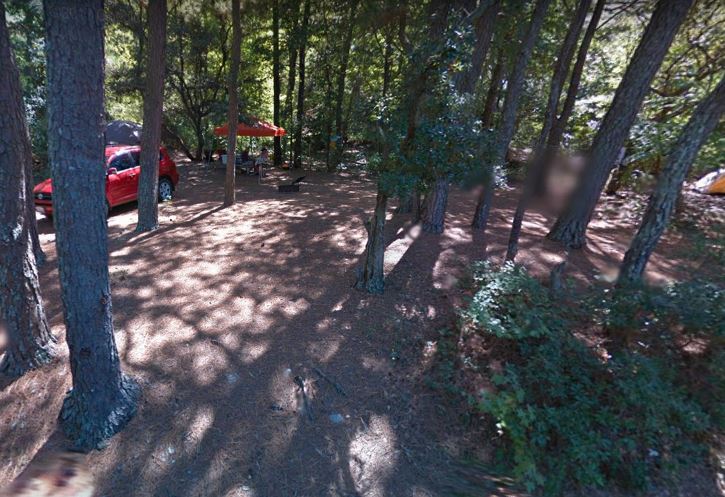 First Landing Camping Site 82
