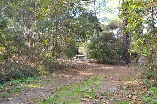 First Landing Camping Site 83